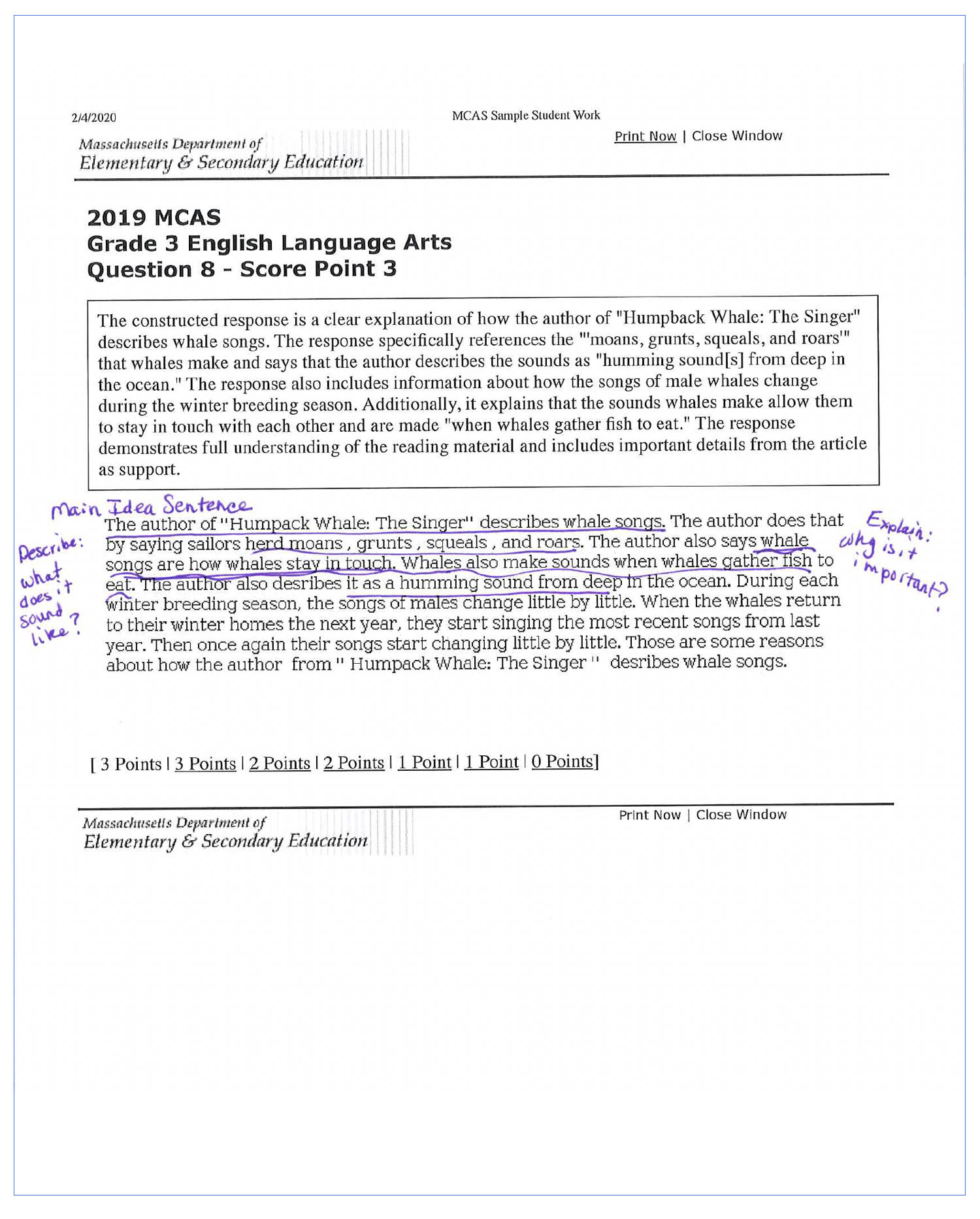 Constructed Response Sample Grade 3 Humpback Whale